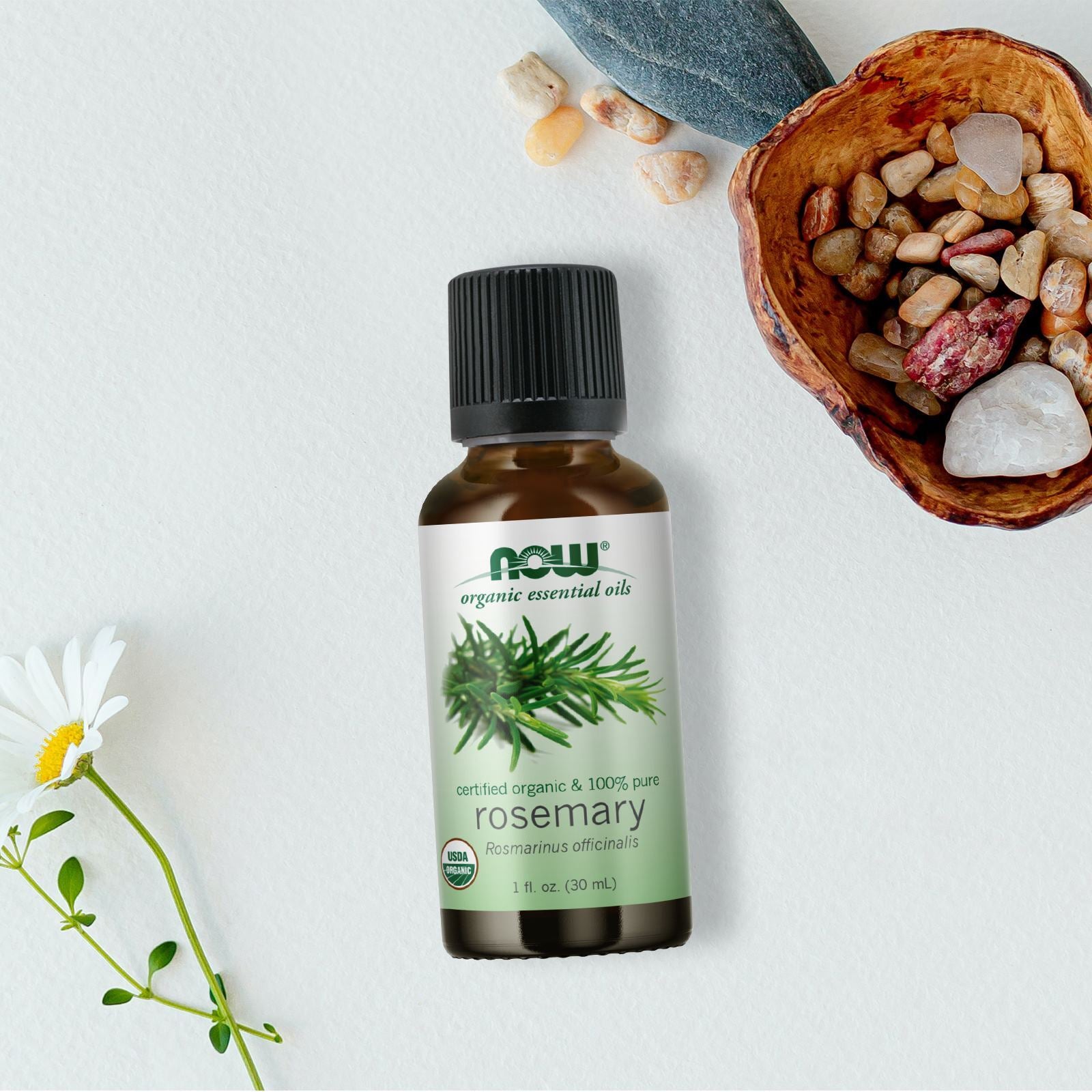 NOW FOODS Rosemary Oil Organic 1 Fl Oz