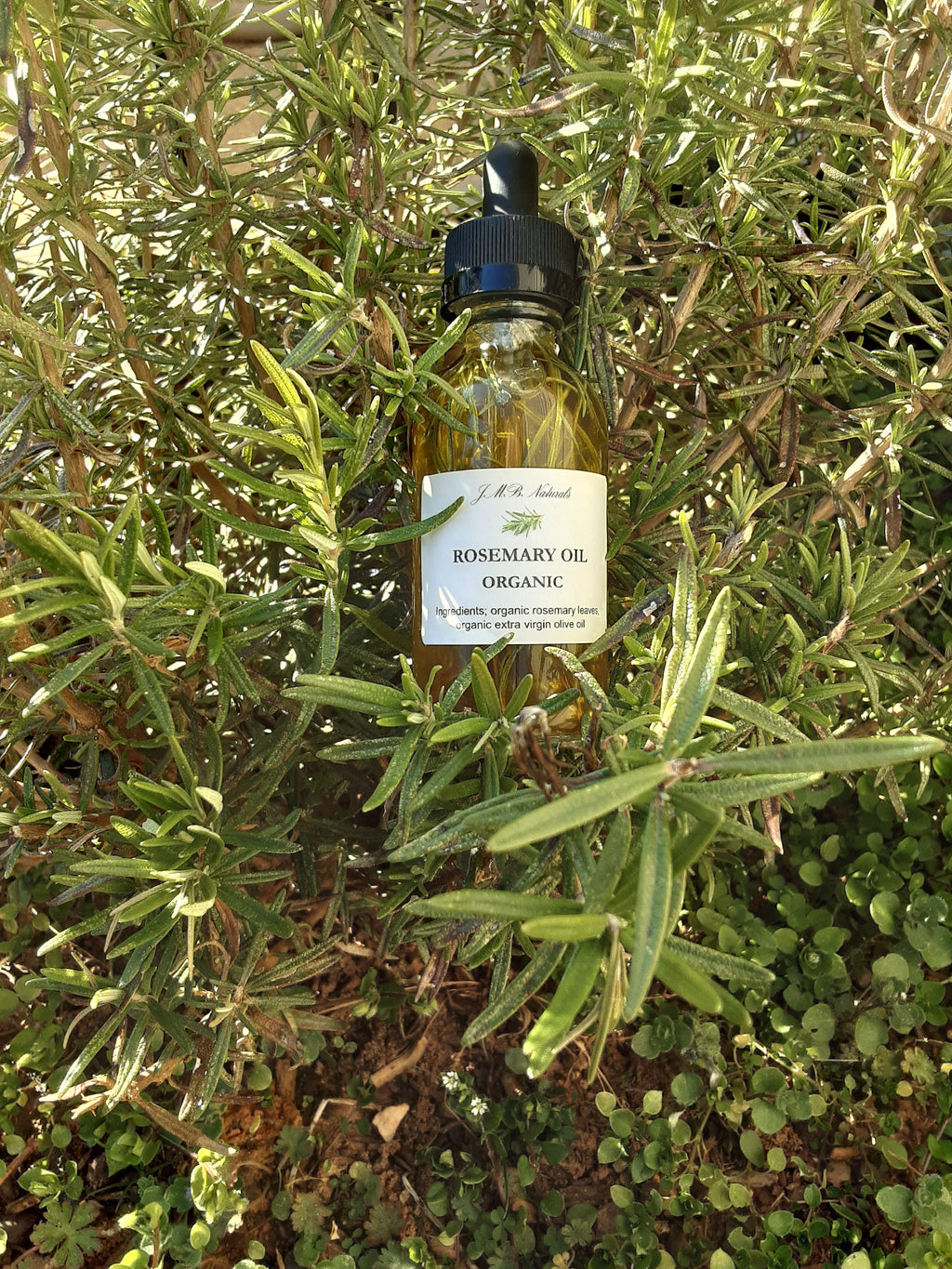 Organic Rosemary Hair Oil (2Oz/4Oz Glass Bottle)
