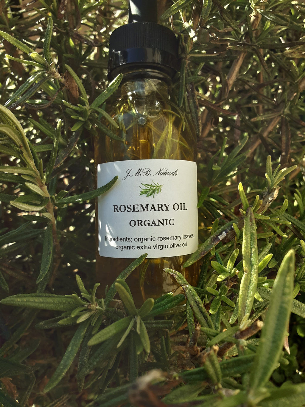 Organic Rosemary Hair Oil (2Oz/4Oz Glass Bottle)
